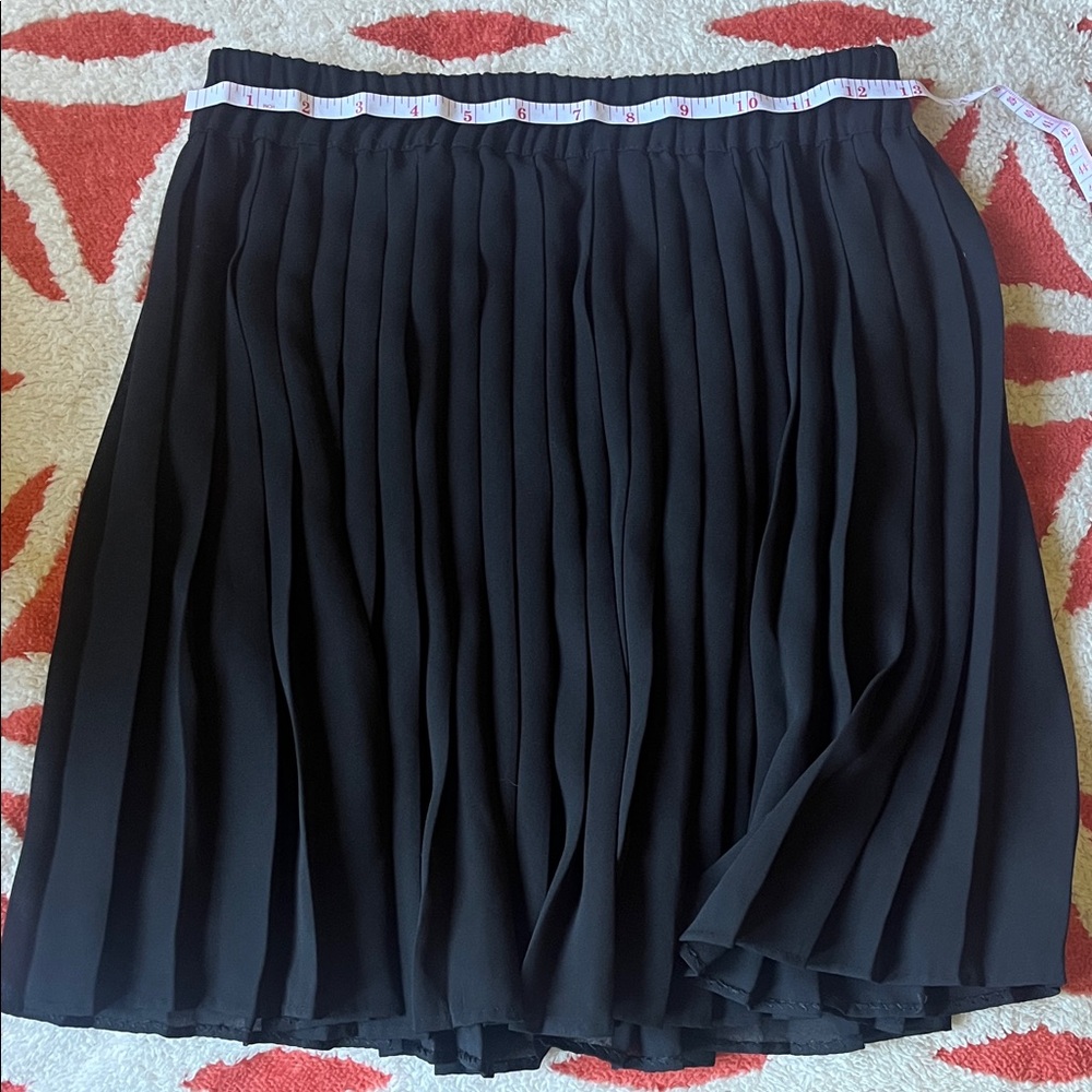 Semi-Sheer Pleated Skirt
